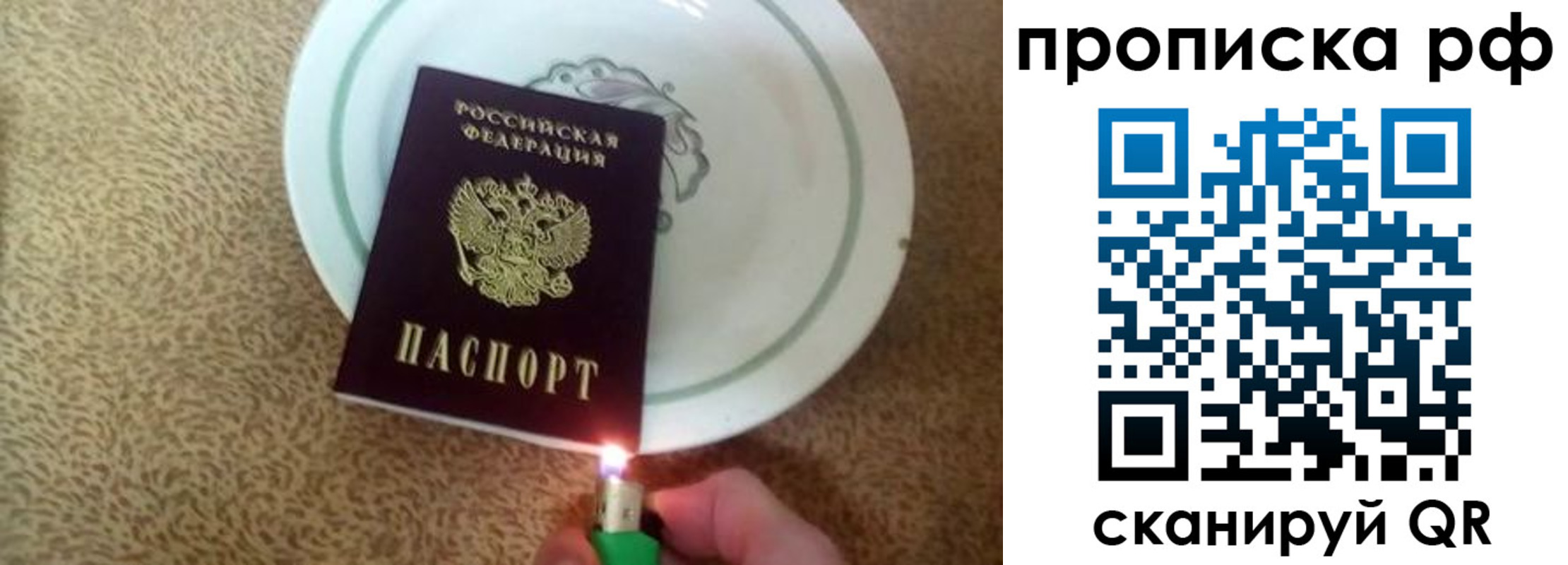 прописка в квартире в Чкаловске